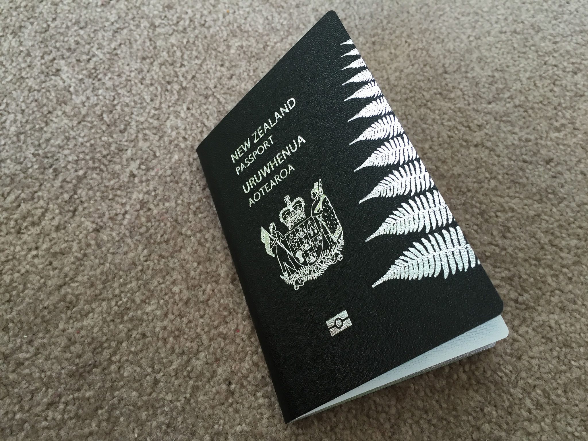 Overstay on New Zealand Visa: What You Need to Know