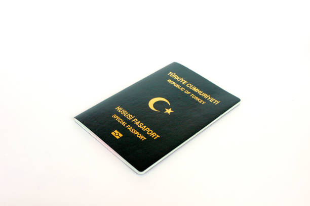 The Ultimate Guide to Turkey Visa Application Process